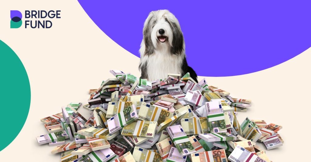 Bridgefund hond met geld
