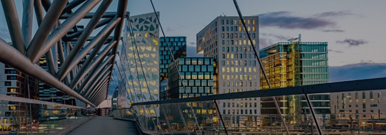Brug met gebouwen
