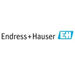 Endress Hauser logo