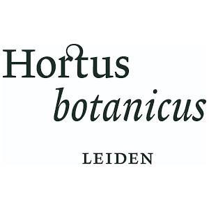 Hortus botanicus logo
