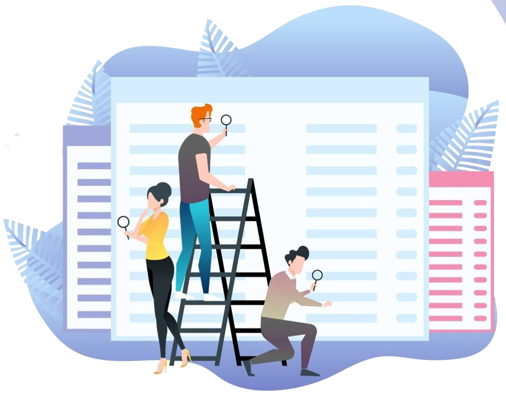 NSC website audit